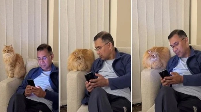 তারেক রহমানের সাথে দেশে ফিরছে প্রিয় পোষা বিড়াল 'জেবু'